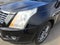 2016 Cadillac SRX Performance Collection