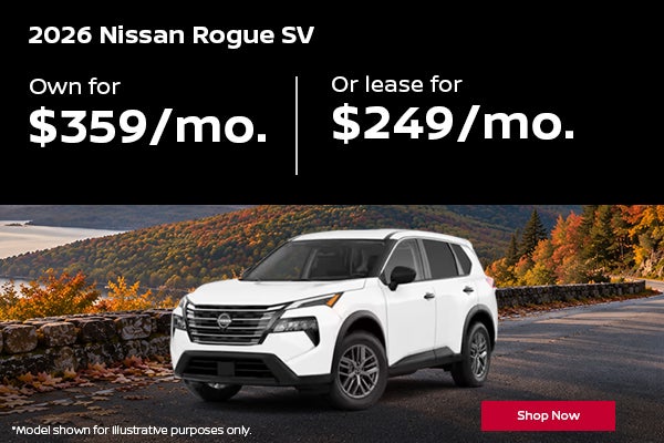 Rogue SV